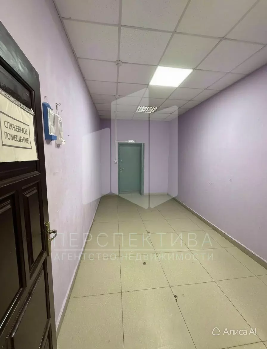 Сдам 116.1 кв.м. ул.Ставропольская д.262 1-й этаж 1-я линия отдельный вход — изображение 4